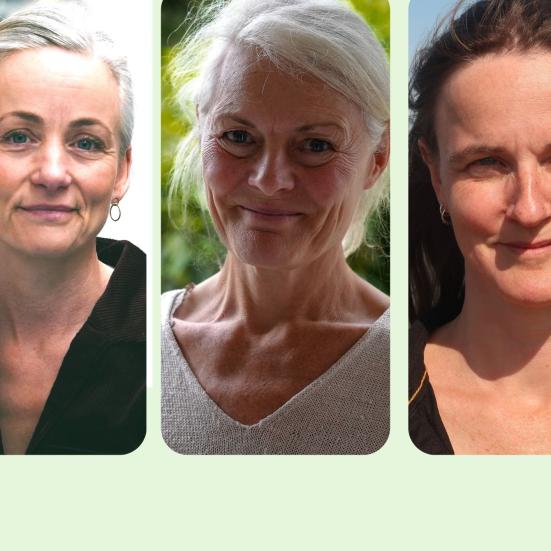 Maria Bruun, Mille Rode og Juliane Wammen
