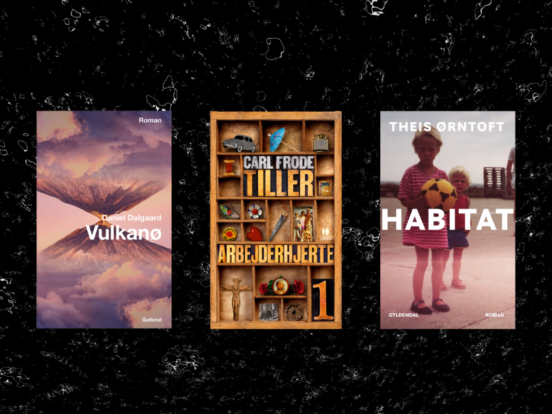 Læseklub 11 Maskulinum