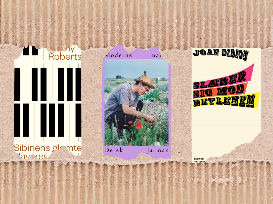 Læseklub 13: En anden fiktion